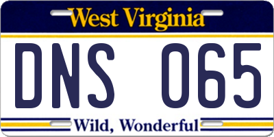 WV license plate DNS065