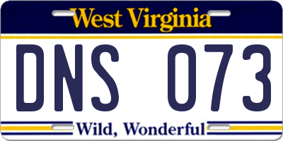 WV license plate DNS073