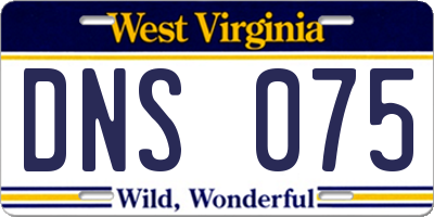 WV license plate DNS075