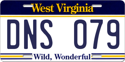 WV license plate DNS079