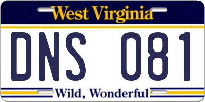 WV license plate DNS081