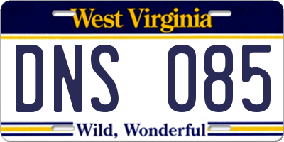 WV license plate DNS085