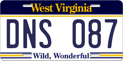 WV license plate DNS087