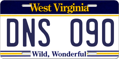 WV license plate DNS090