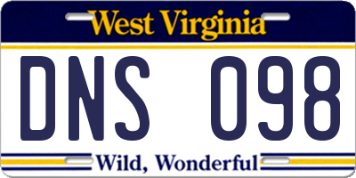 WV license plate DNS098