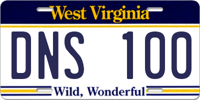 WV license plate DNS100