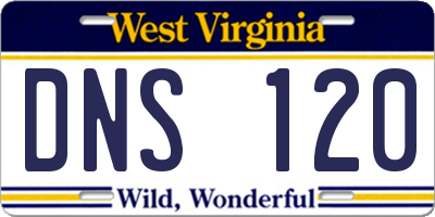 WV license plate DNS120