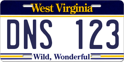 WV license plate DNS123