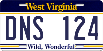 WV license plate DNS124