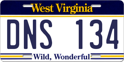 WV license plate DNS134