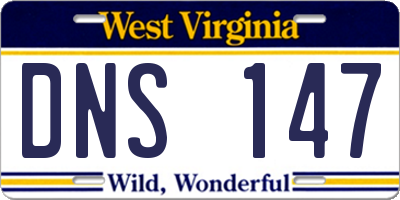 WV license plate DNS147