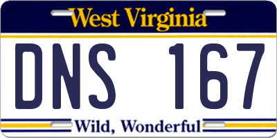 WV license plate DNS167
