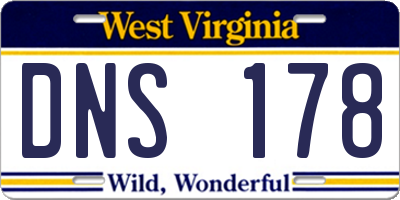 WV license plate DNS178