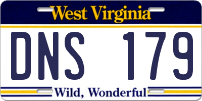 WV license plate DNS179