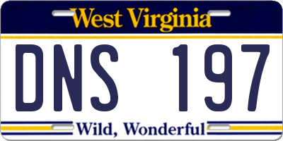 WV license plate DNS197