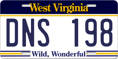 WV license plate DNS198