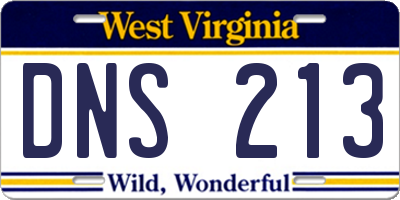 WV license plate DNS213