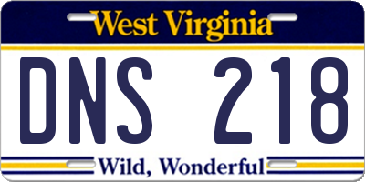 WV license plate DNS218