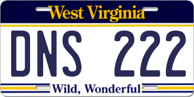 WV license plate DNS222