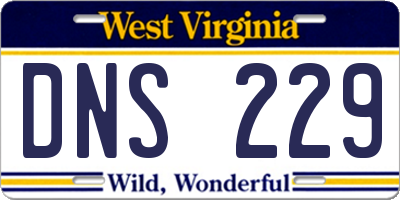 WV license plate DNS229