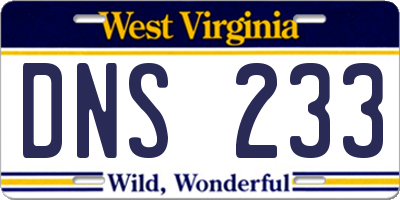WV license plate DNS233