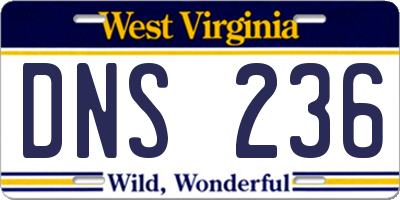 WV license plate DNS236