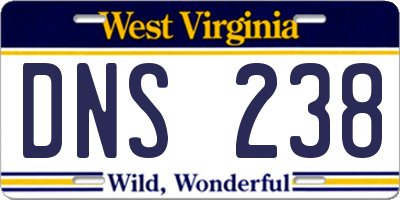 WV license plate DNS238