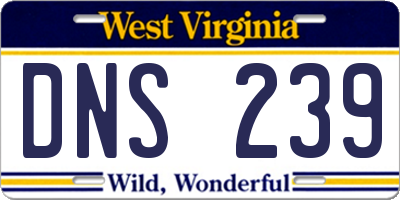 WV license plate DNS239