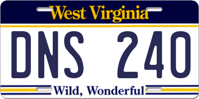 WV license plate DNS240