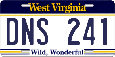 WV license plate DNS241