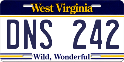 WV license plate DNS242