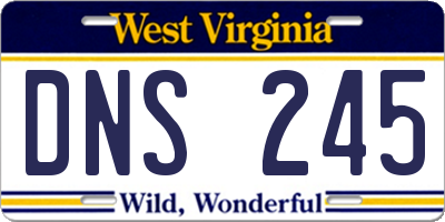 WV license plate DNS245