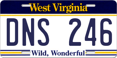 WV license plate DNS246