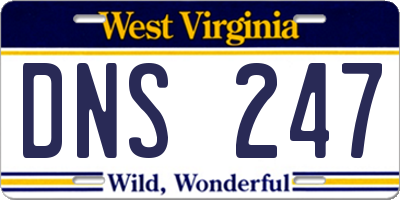 WV license plate DNS247