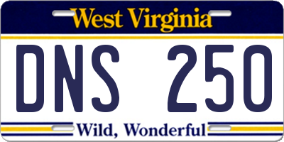 WV license plate DNS250