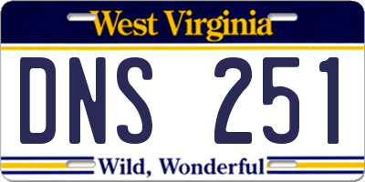 WV license plate DNS251