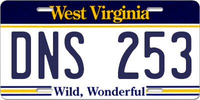 WV license plate DNS253