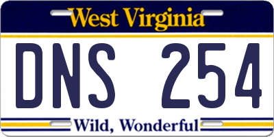 WV license plate DNS254