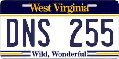 WV license plate DNS255
