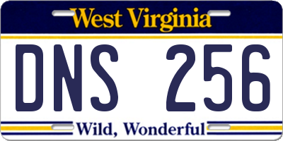 WV license plate DNS256