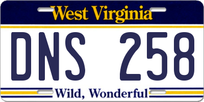 WV license plate DNS258