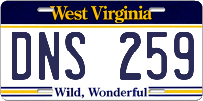 WV license plate DNS259