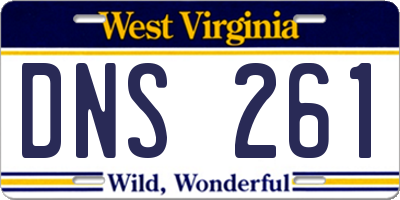 WV license plate DNS261