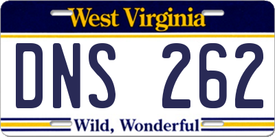 WV license plate DNS262