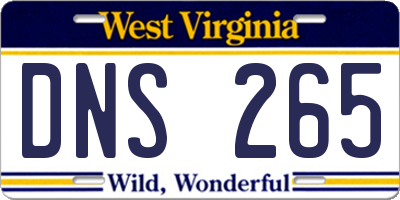 WV license plate DNS265