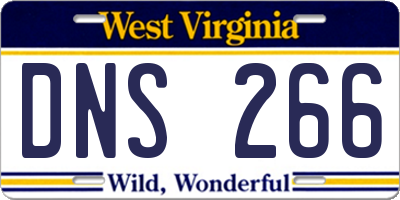 WV license plate DNS266