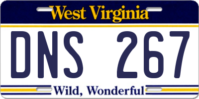 WV license plate DNS267