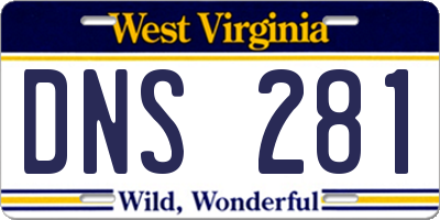 WV license plate DNS281