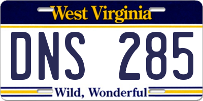 WV license plate DNS285