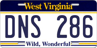 WV license plate DNS286